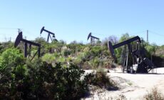Holding the California Oil Industry Accountable